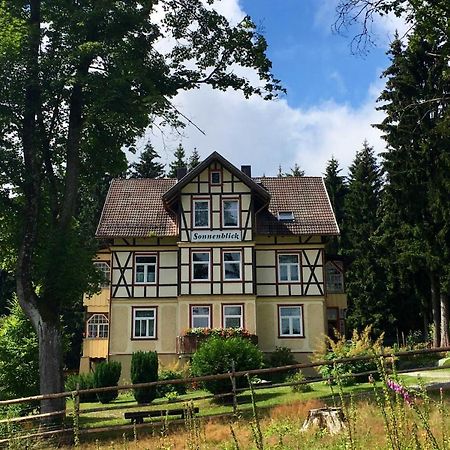 Haus Sonnenblick Διαμέρισμα Benneckenstein Εξωτερικό φωτογραφία