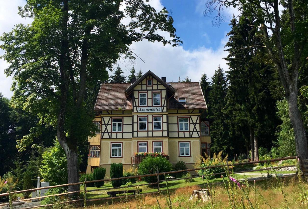 Haus Sonnenblick Διαμέρισμα Benneckenstein Εξωτερικό φωτογραφία