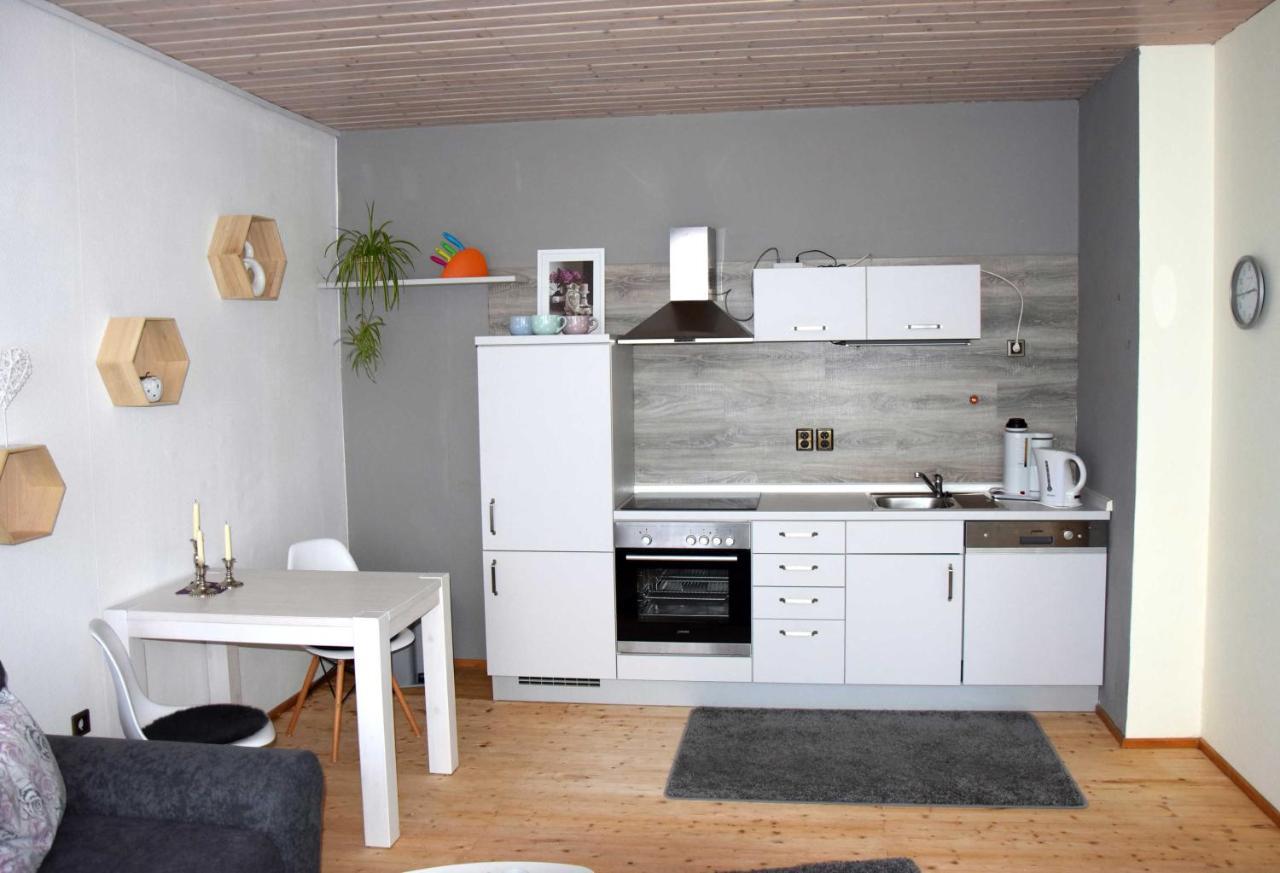 Haus Sonnenblick Διαμέρισμα Benneckenstein Εξωτερικό φωτογραφία